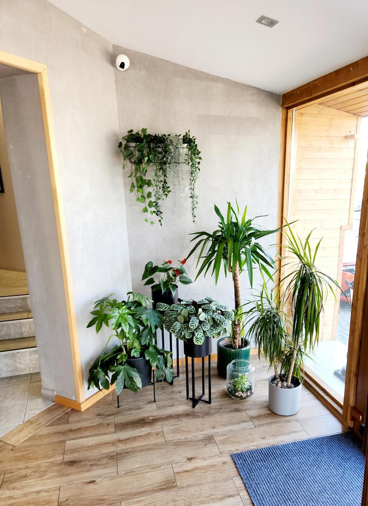 Royal Gdansk Bed & Breakfast Bagian luar foto